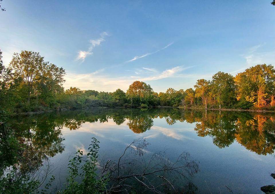 Detroit River International Wildlife Refuge - Gibraltar Bay Unit | 28820 E River Rd, Grosse Ile Township, MI 48138 | Phone: (734) 365-0219