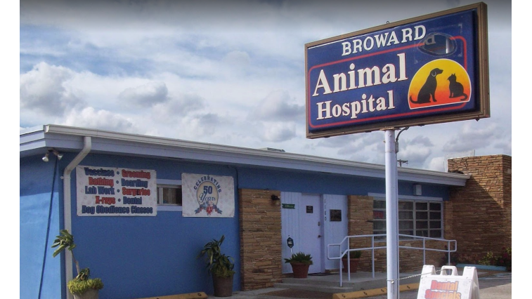 Broward Animal Hospital, Inc. | 1180 N Dixie Hwy, Hollywood, FL 33020, USA | Phone: (954) 925-2467