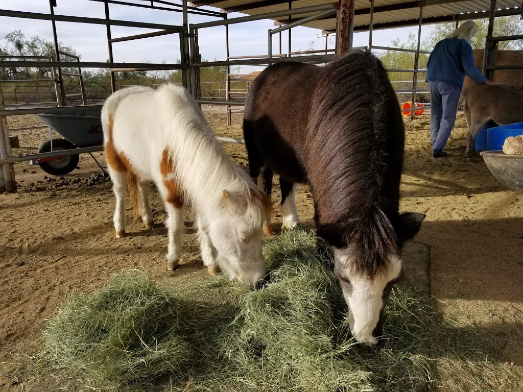 Karrels Double K Ranch | 3930 N Smokey Topaz Ln, Tucson, AZ 85749, USA | Phone: (520) 749-5345