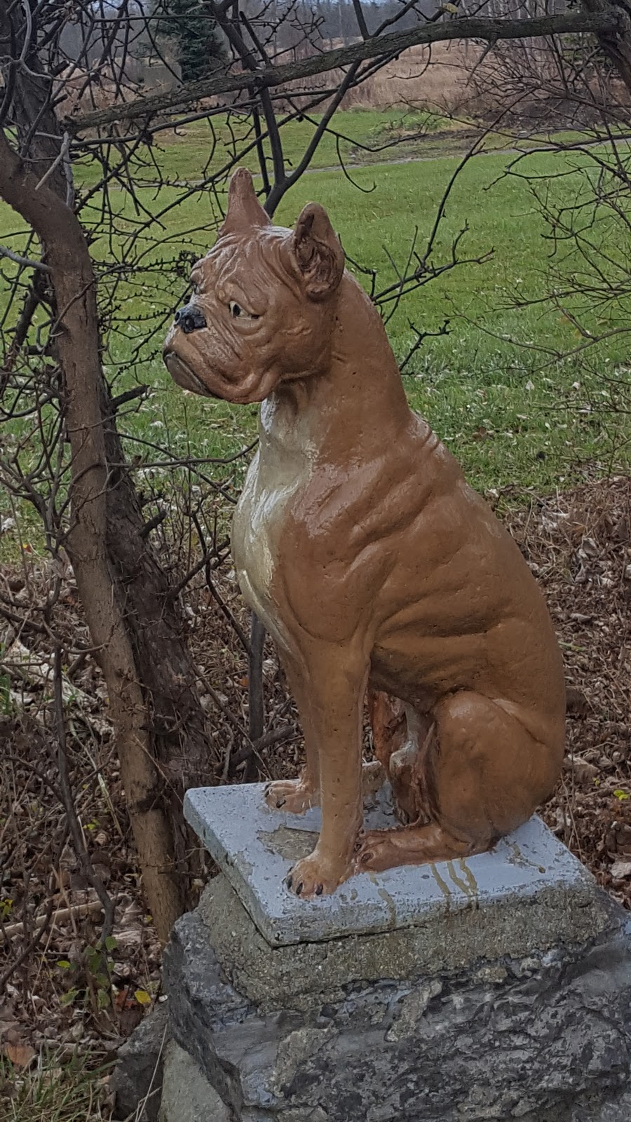 Final Gift - Pine Rest Pet Cemetery | 757 Seneca Creek Rd, Buffalo, NY 14224, USA | Phone: (716) 674-9470