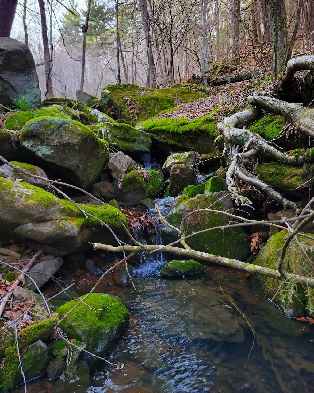 Pine Hollow State Natural Area | North Freedom, WI 53951, USA | Phone: (608) 356-5300