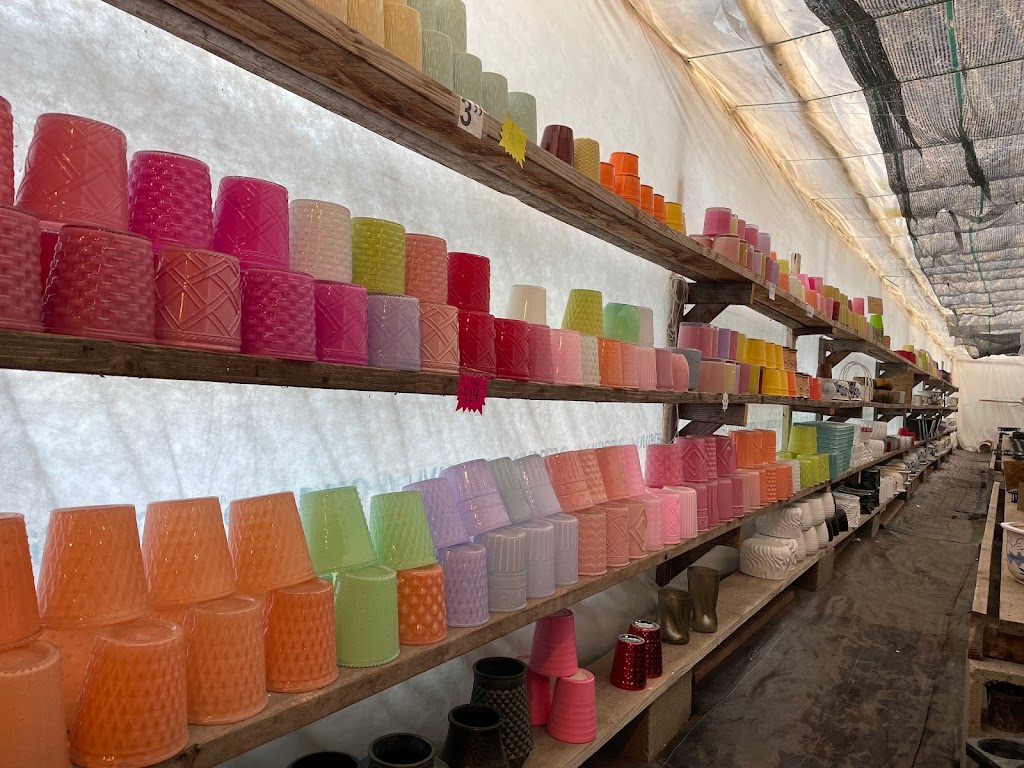 Bay Area Orchids | 12511 San Mateo Rd, Half Moon Bay, CA 94019, USA | Phone: (650) 922-4975