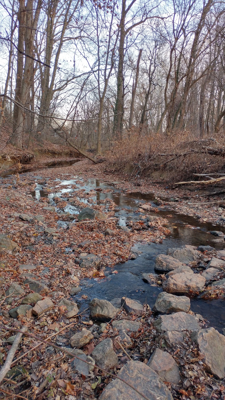 Olney Park | 1840 Olney Rd, Falls Church, VA 22043, USA | Phone: (703) 324-8732