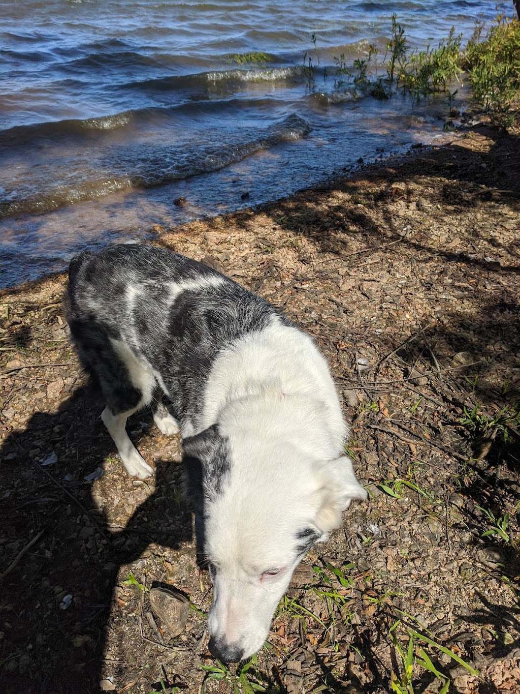 Butler State Fishing Lake and Wildlife Area | Latham, KS 67072, USA | Phone: (620) 876-5730