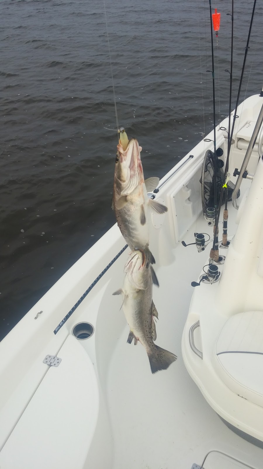 Bayou Country Charters, LLC | 4967 Fran Ln, Barataria, LA 70036, USA | Phone: (504) 881-6016