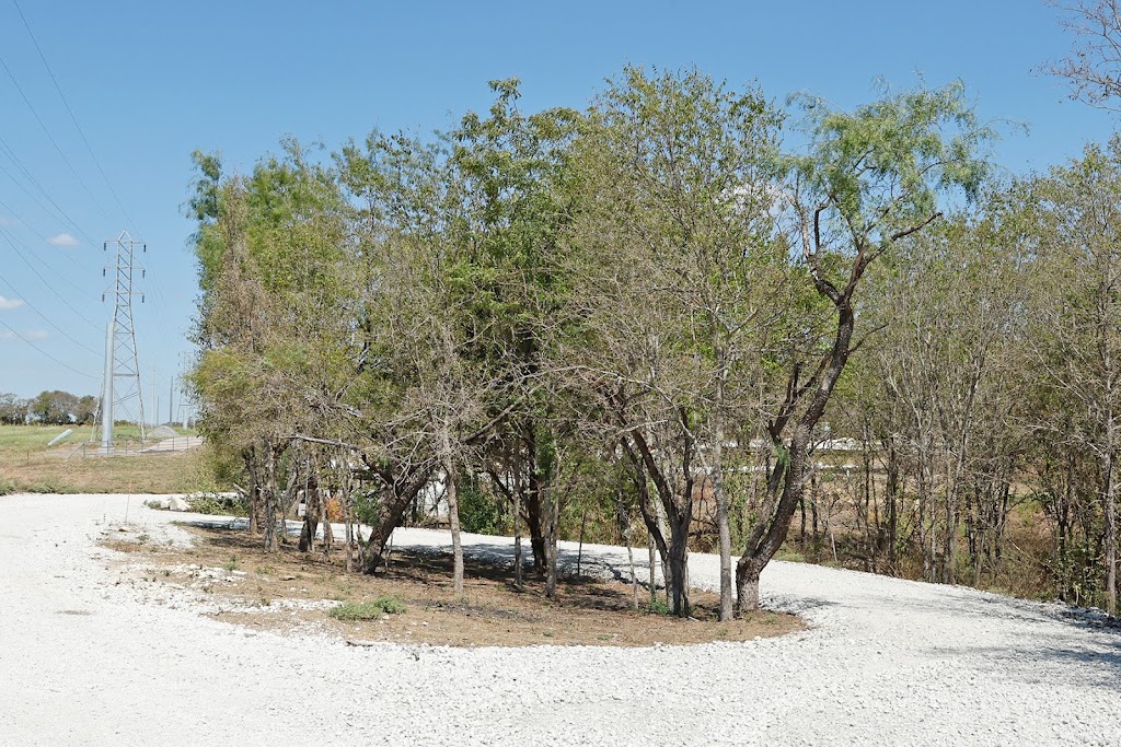 Whispering Elms RV Park, A Senior Living Community | 269 County Rd 4281, Hillsboro, TX 76645, USA | Phone: (254) 205-6704