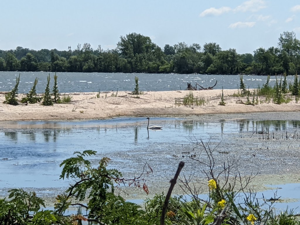 Cedar Point National Wildlife Refuge | Oregon, OH 43616, USA | Phone: (419) 898-0014