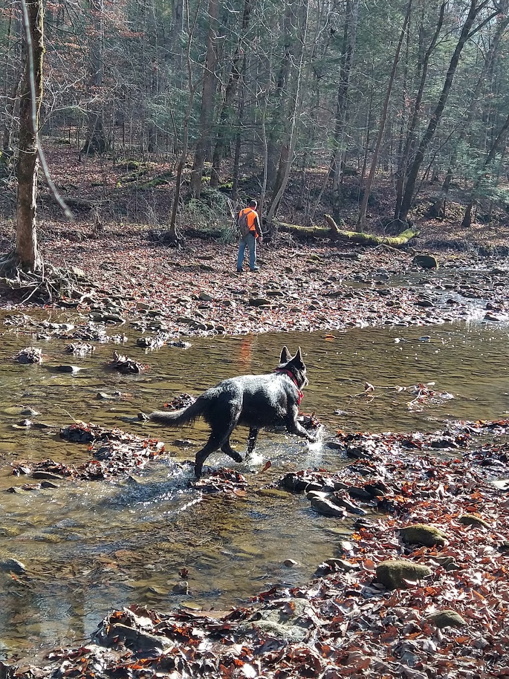 Turkey Foot Campground | Forest Service Road 345, McKee, KY 40447, USA | Phone: (606) 864-4163