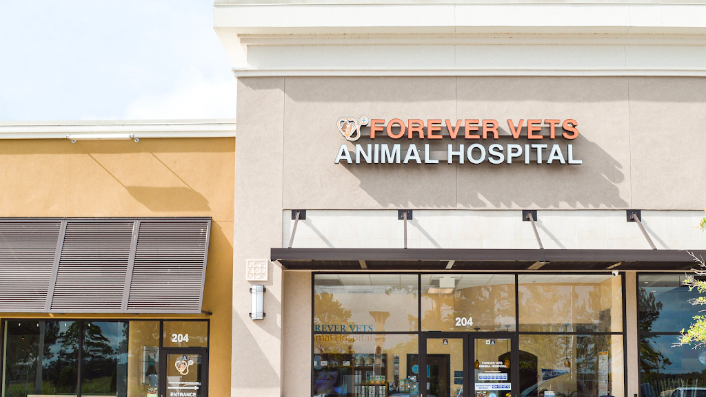 Forever Vets Animal Hospital of Murabella Parkway | 74 Capulet Dr Suite 204, St. Augustine, FL 32092, USA | Phone: (904) 679-3432
