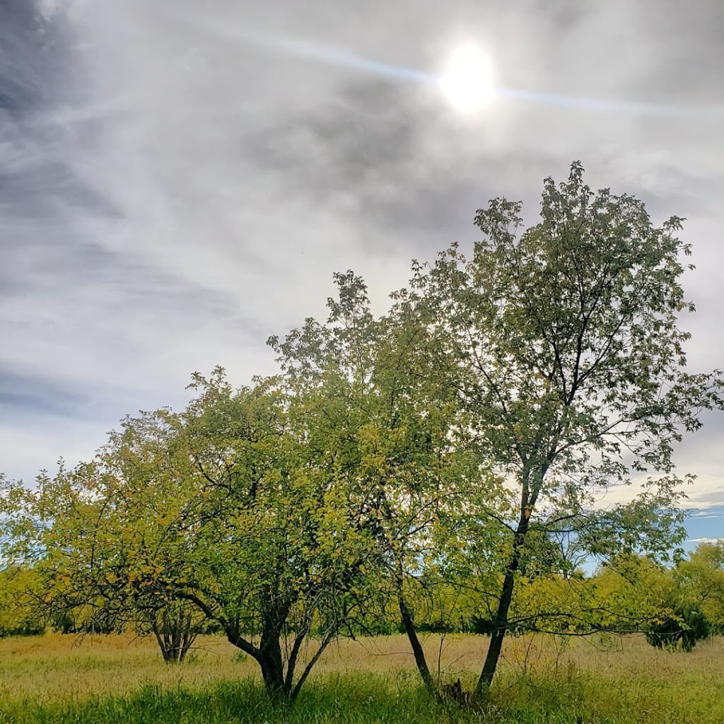 Goldenrod Farm & Nature School | 2352 90th Ave, Osceola, WI 54020, USA | Phone: (651) 343-4030