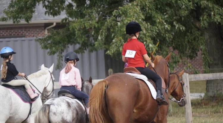 J&J Equestrian Center | 707 Edith Ave, Noblesville, IN 46060, USA | Phone: (317) 340-1420