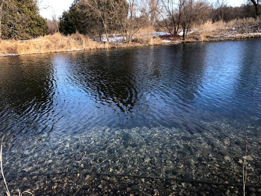 Token Creek Conservancy | 6394 Portage Rd, DeForest, WI 53532, USA | Phone: (608) 846-3854