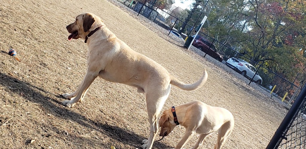 Skyland Dog Park | 2600 Skyland Dr NE, Atlanta, GA 30319, USA | Phone: (404) 637-0500