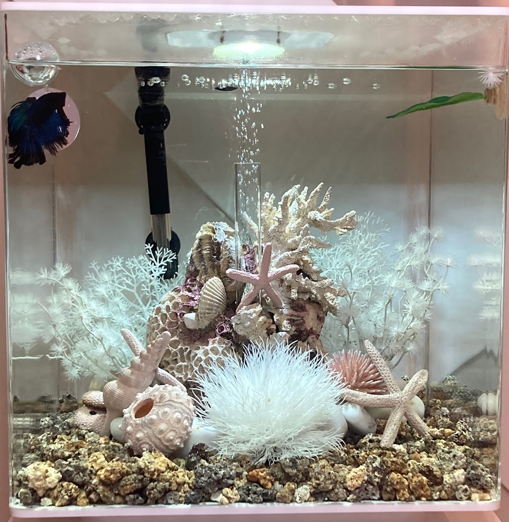 Skin Secrecy | 203 Terrell Ave, Oceanside, NY 11572, USA | Phone: (516) 784-6943