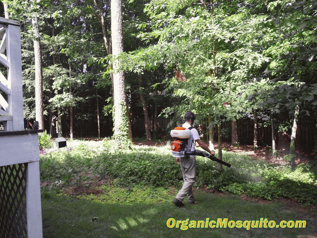 Organic Mosquito Services | 1457 Kelly Rd STE 124, Apex, NC 27502, USA | Phone: (919) 371-8857