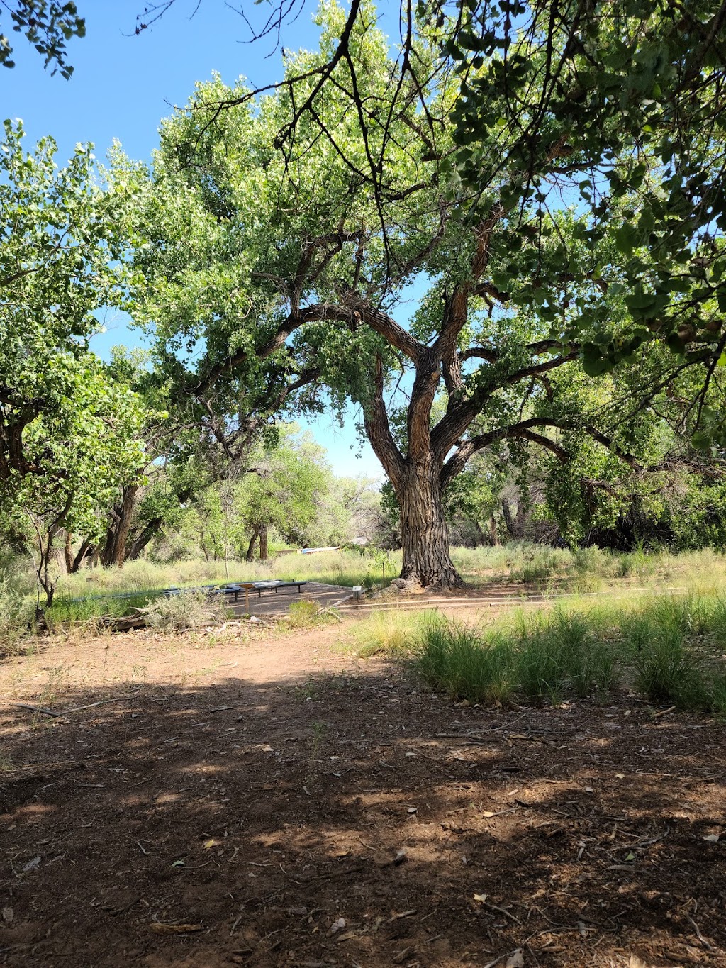 Rio Grande Nature Center State Park 2901 Candelaria Rd Nw Albuquerque Nm Usa