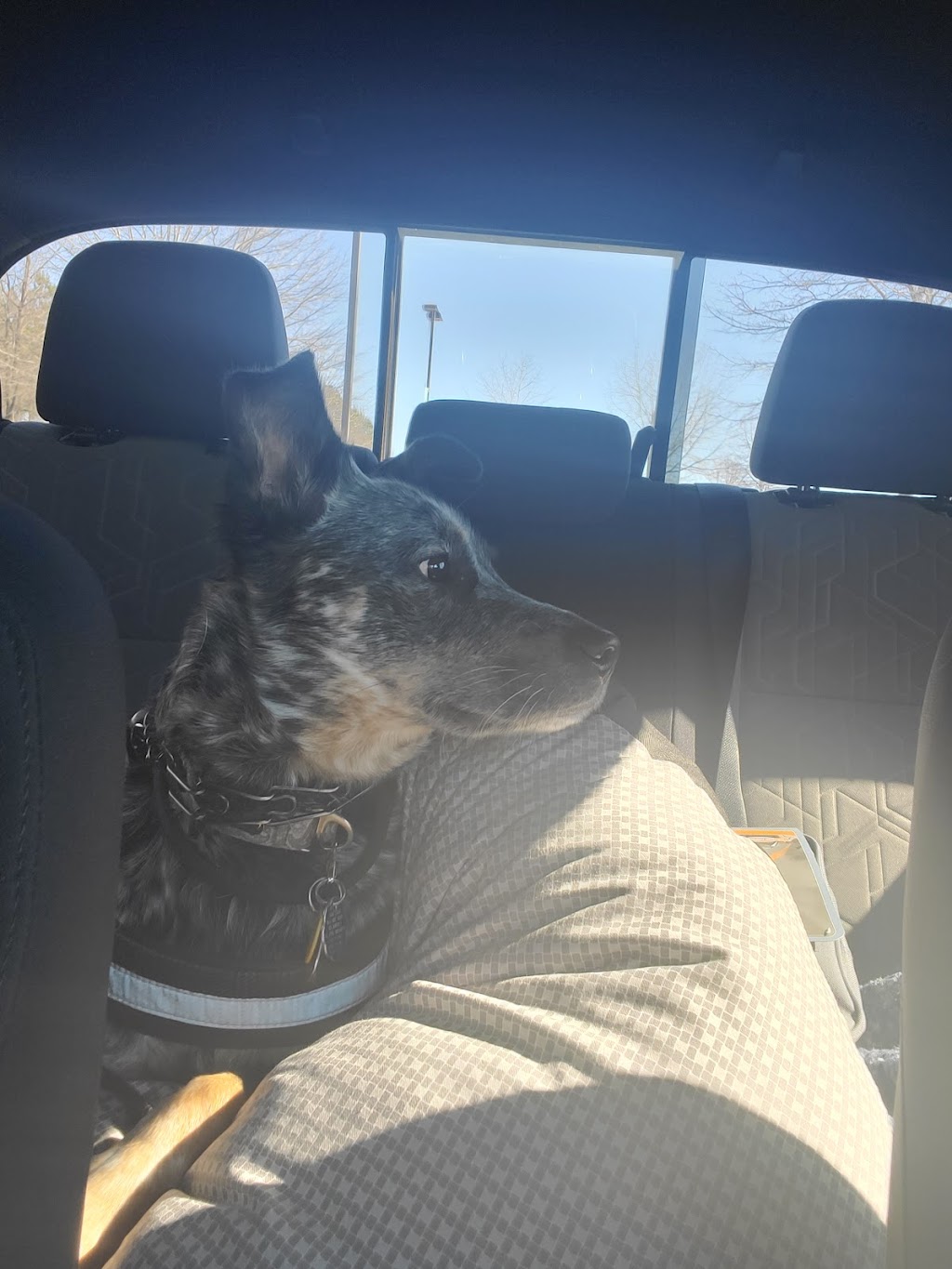 Gibbs Park | 16641 Graham St, Huntington Beach, CA 92649, USA | Phone: (714) 536-5486 Gibbs Park | 16641 Graham St, Huntington Beach, CA 92649, USA | Phone: (714) 536-5486