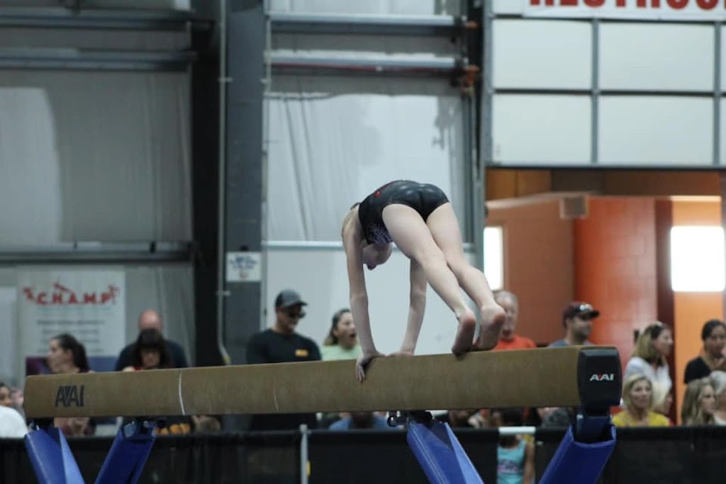 Flames Gymnastics Academy | 9299 W Olive Ave #604, Peoria, AZ 85345, USA | Phone: (623) 875-7777