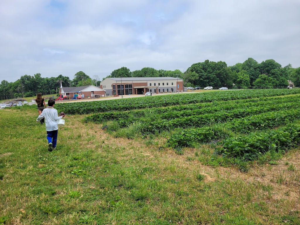 Slate Farms Strawberries | 1601 TN-76, Clarksville, TN 37043, USA | Phone: (931) 241-3966