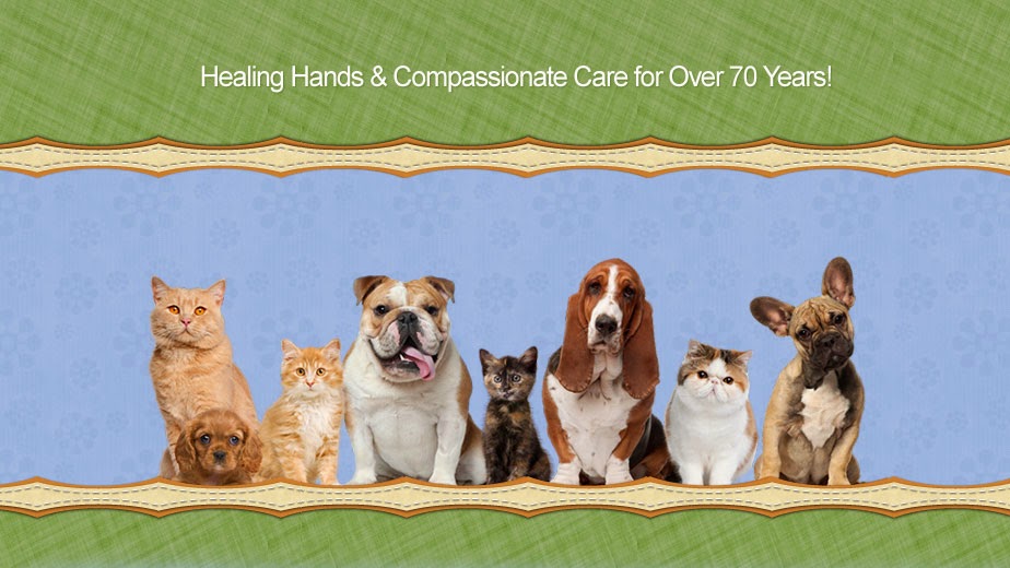 Winchester Veterinary Clinic | 229 Cemetery Rd, Canal Winchester, OH 43110, USA | Phone: (614) 837-5555