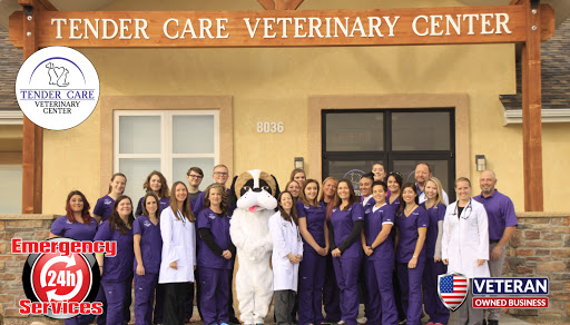 Tender Care Veterinary Center | 8036 Meridian Park Dr, Falcon, CO 80831, USA | Phone: (719) 559-8282