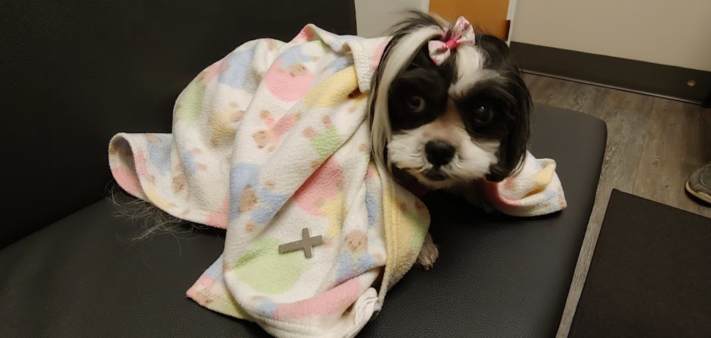 Mebane Pet Clinic | 900 Mebane Oaks Rd, Mebane, NC 27302, USA | Phone: (919) 304-5200
