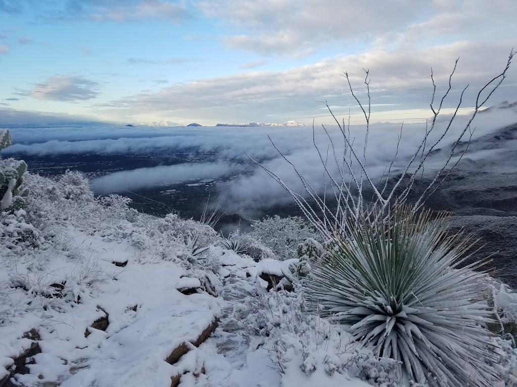 Coronado National Forest | Tucson, AZ 85701 | Phone: (520) 388-8300