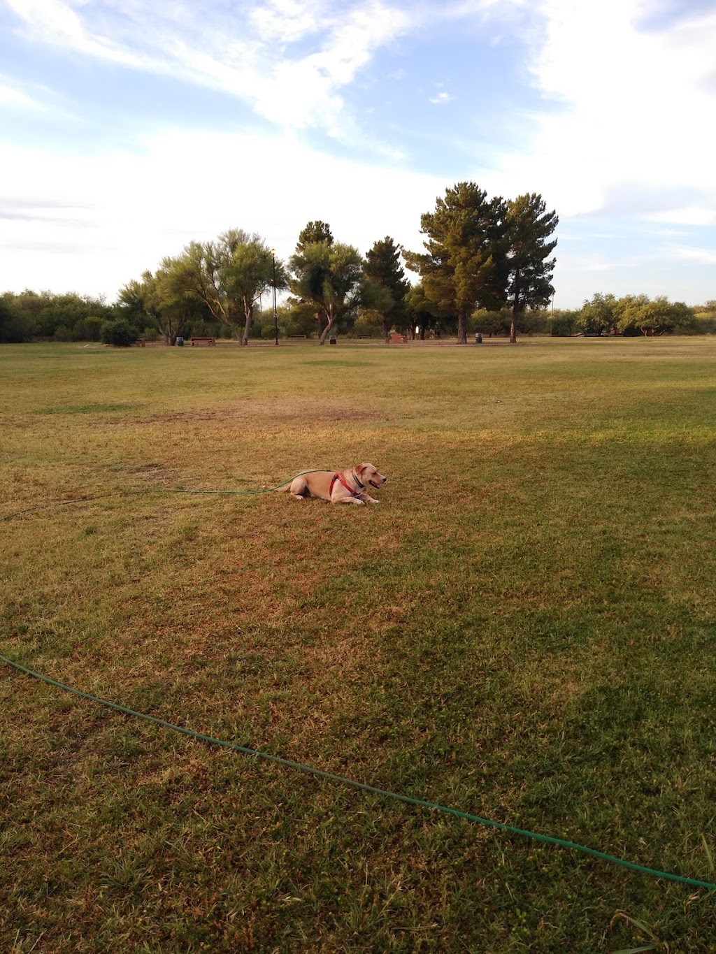 Lower Lincoln Park | 8280 E Escalante Rd, Tucson, AZ 85730, USA | Phone: (520) 791-4873