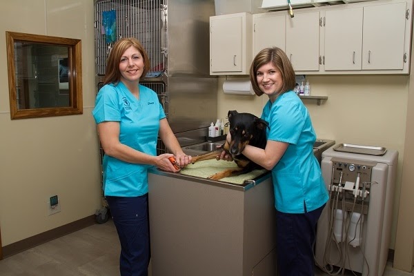 Sandstone Animal Hospital | 1061 W Bagley Rd, Berea, OH 44017, USA | Phone: (440) 234-6336