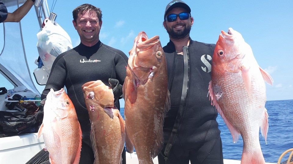 Reel Diversion Charters | 4522 121st St Ct W, Cortez, FL 34215, USA | Phone: (941) 405-9689