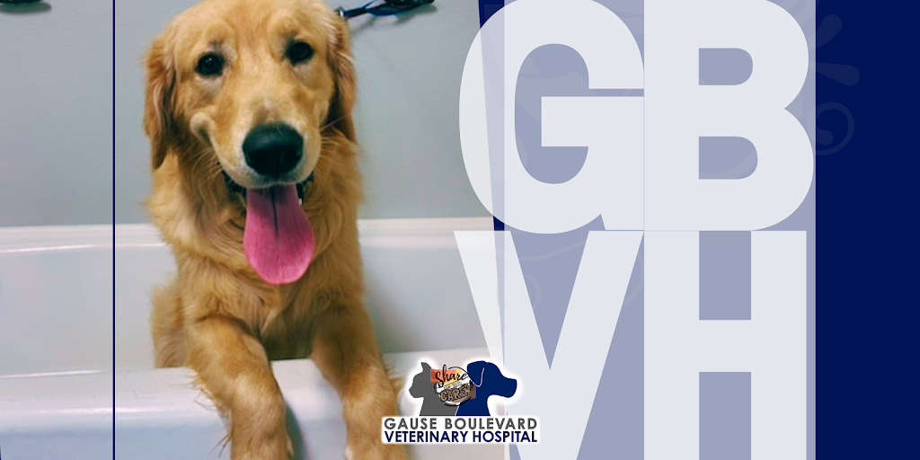 Gause Boulevard Veterinary Hospital | 2190 Gause Blvd E, Slidell, LA 70461 | Phone: (985) 641-3922