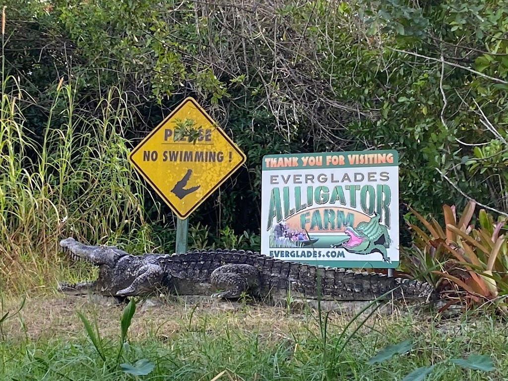 Everglades Alligator Farm | 40351 SW 192nd Ave, Homestead, FL 33034, USA | Phone: (305) 247-2628