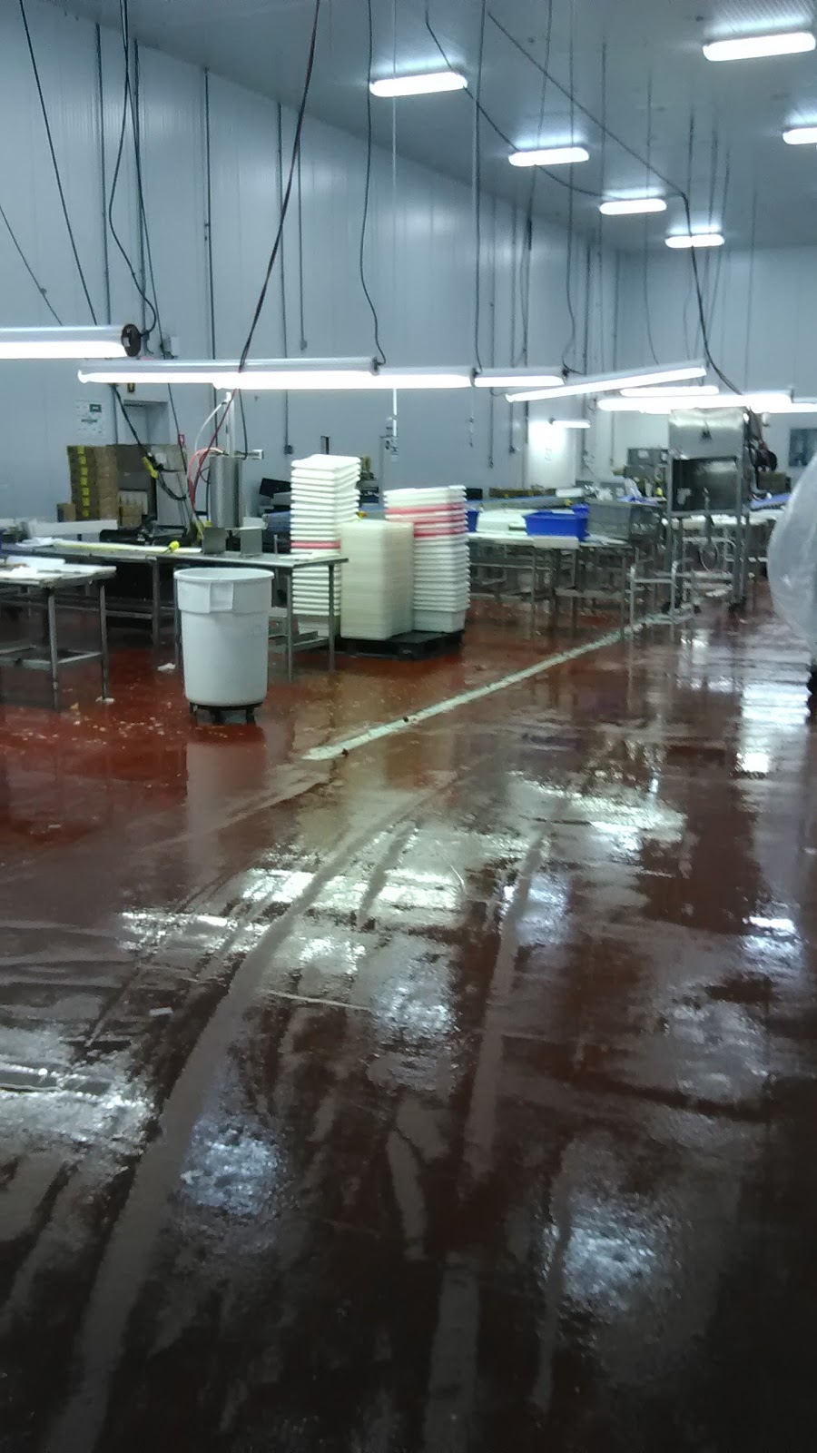 Del Monte Fresh Produce Co - North Carolina | 6532 Judge Adams Rd, Whitsett, NC 27377, USA | Phone: (336) 446-7408