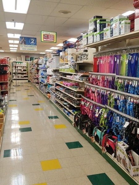 Pet Supplies Plus Redford Township | 14835 Telegraph Rd, Redford Charter Twp, MI 48239, USA | Phone: (313) 255-1633