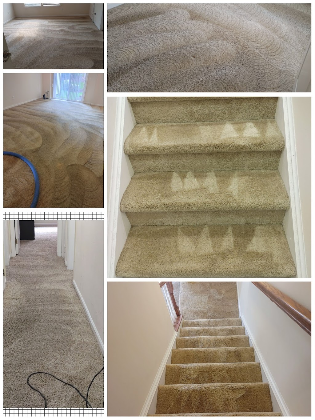 ITsSTRAIGHT Carpet CLEANING and Janitorial Services LLC | 6012 Herston Rd, Raleigh, NC 27610, USA | Phone: (919) 931-0673