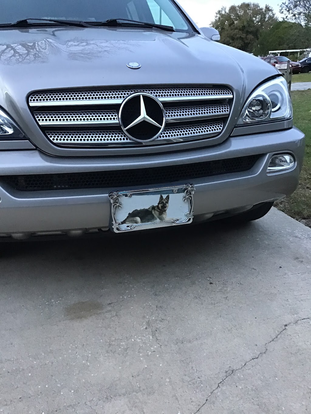 Richards Auto & Tire Service Center | 17426 US-19, Hudson, FL 34667, USA | Phone: (727) 861-7474