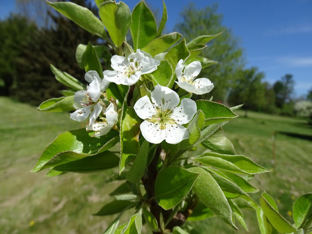 Cornell Cooperative Extension Warren County | 377 Schroon River Rd, Warrensburg, NY 12885, USA | Phone: (518) 668-4881