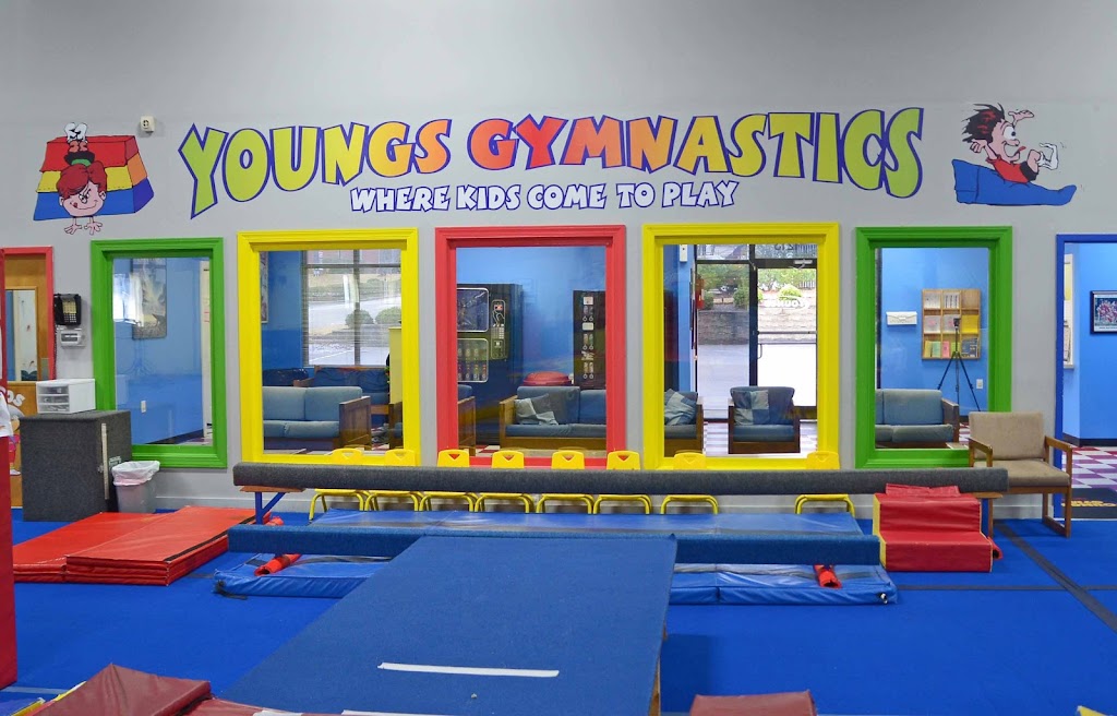 Youngs Gym-Kids In Motion! | 1213 S Main St, Wake Forest, NC 27587, USA | Phone: (919) 554-0606