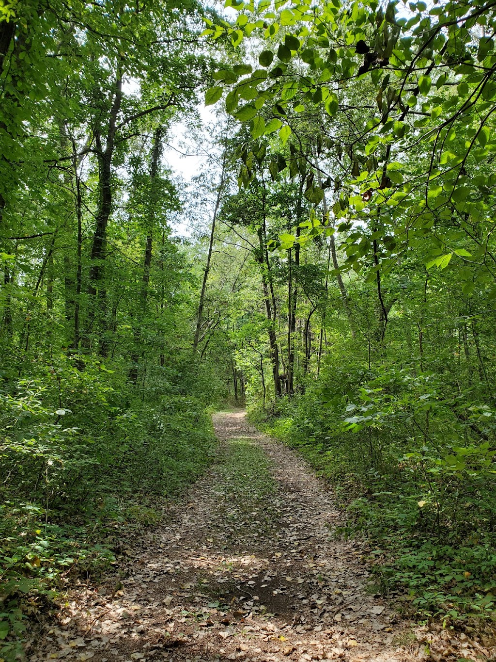 Slippery Elm Trail: Rudolph Savanna | 10296 Rudolph Rd, Rudolph, OH 43462, USA | Phone: (419) 353-1897