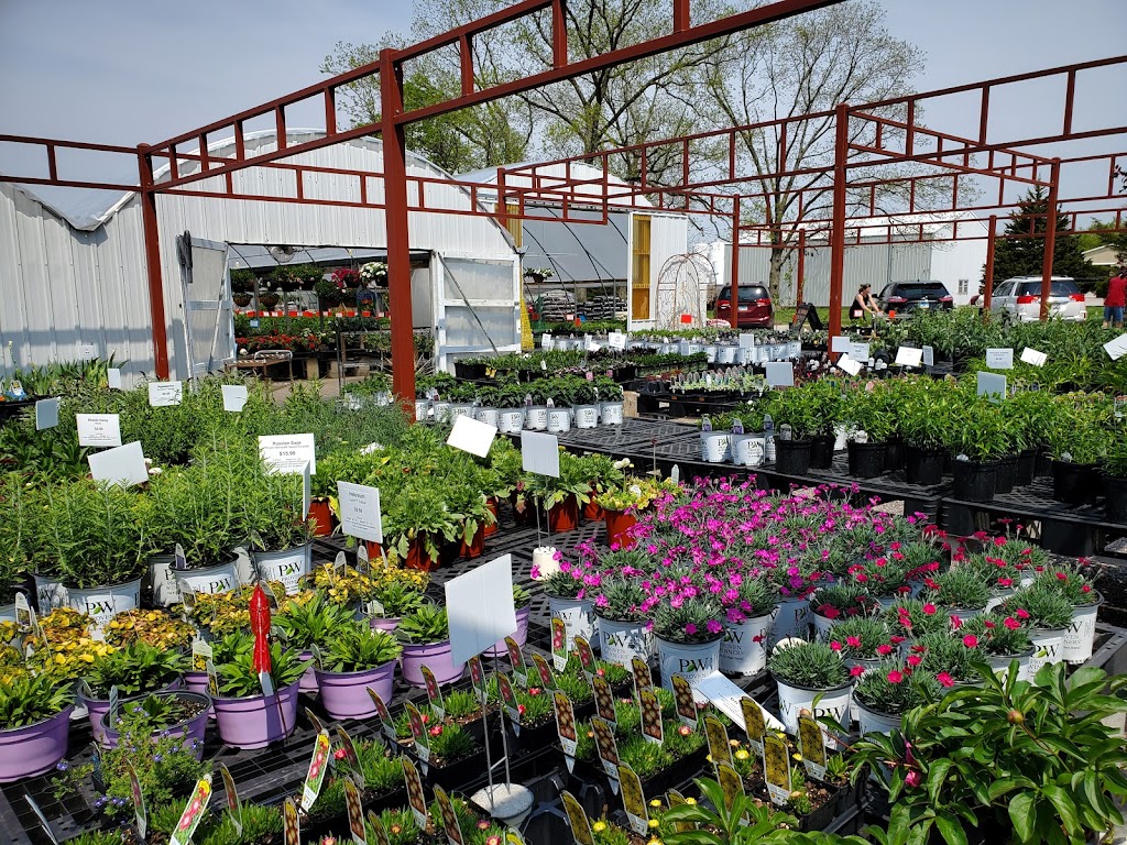 Meyers Greenhouse & Nursery, LLC | 1471 W St Louis St, Nashville, IL 62263, USA | Phone: (618) 327-3712