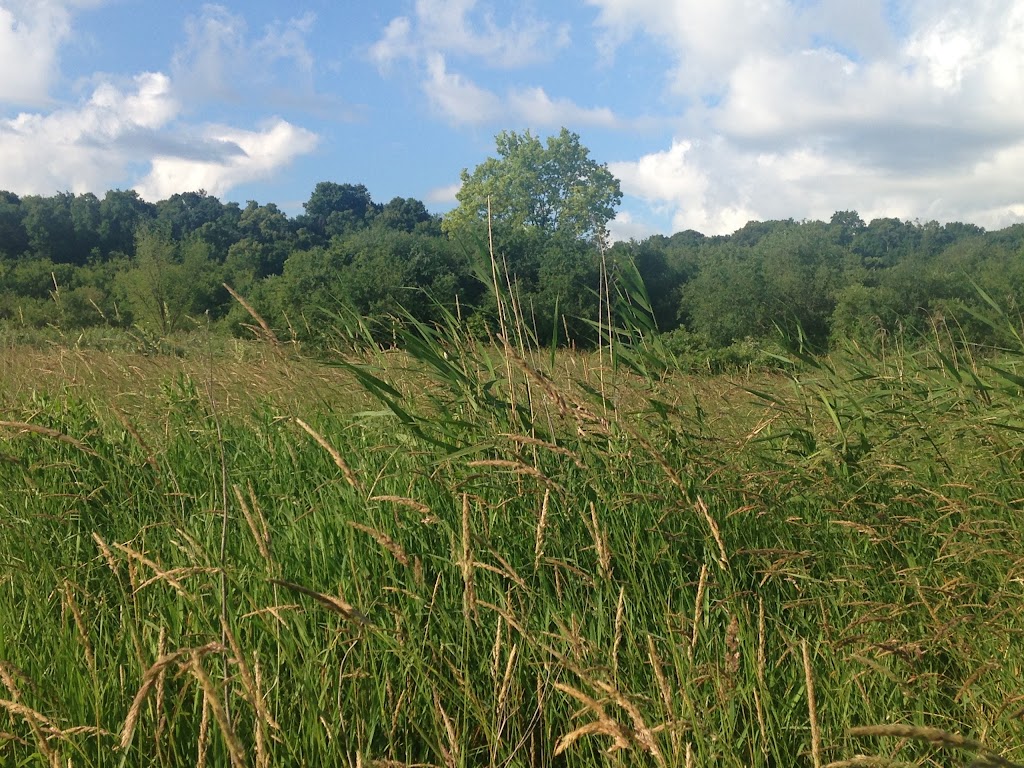 Savage Fen Scientific and Natural Area (SNA) | 128th St, Savage, MN 55378, USA | Phone: (651) 259-5800