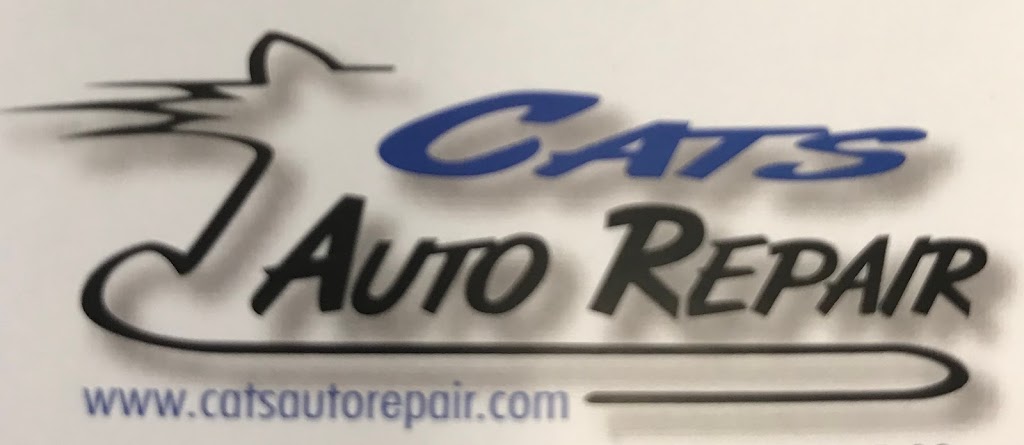 Cats Auto Repair | 685 W Wise Rd, Schaumburg, IL 60193, USA | Phone: (847) 891-8905