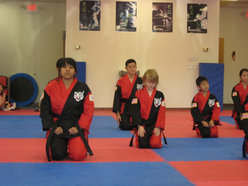 K TIGER TAEKWONDO MARTIAL ARTS | 2750 Race Track Rd #309, Fruit Cove, FL 32259, USA | Phone: (904) 217-3682