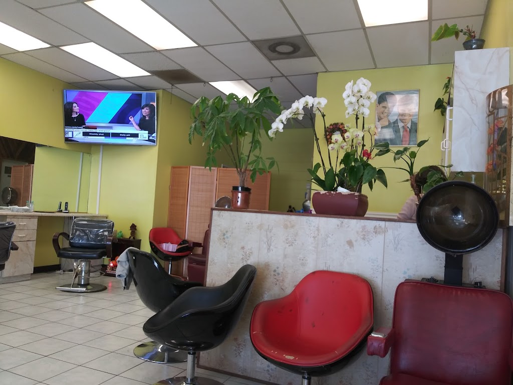 High Life Beauty Salon | 1611 Flickinger Ave, San Jose, CA 95131, USA | Phone: (408) 729-4921