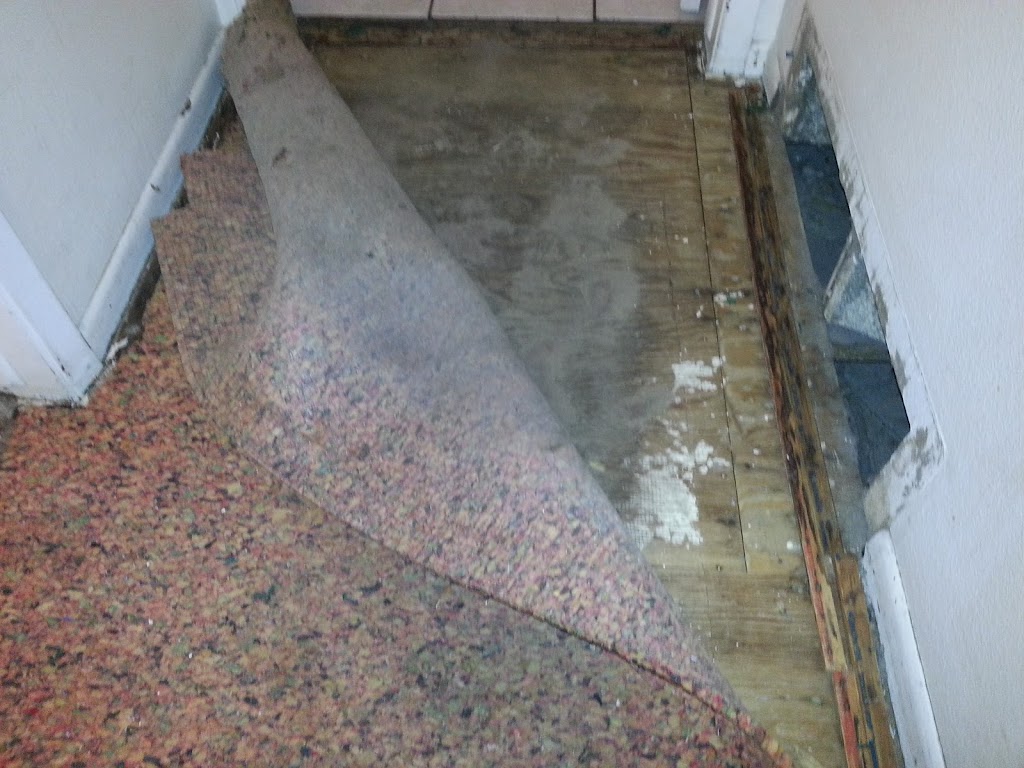 Paul Ks Carpet Cleaning Services | 3059 S Bahama St, Aurora, CO 80013, USA | Phone: (720) 870-7679