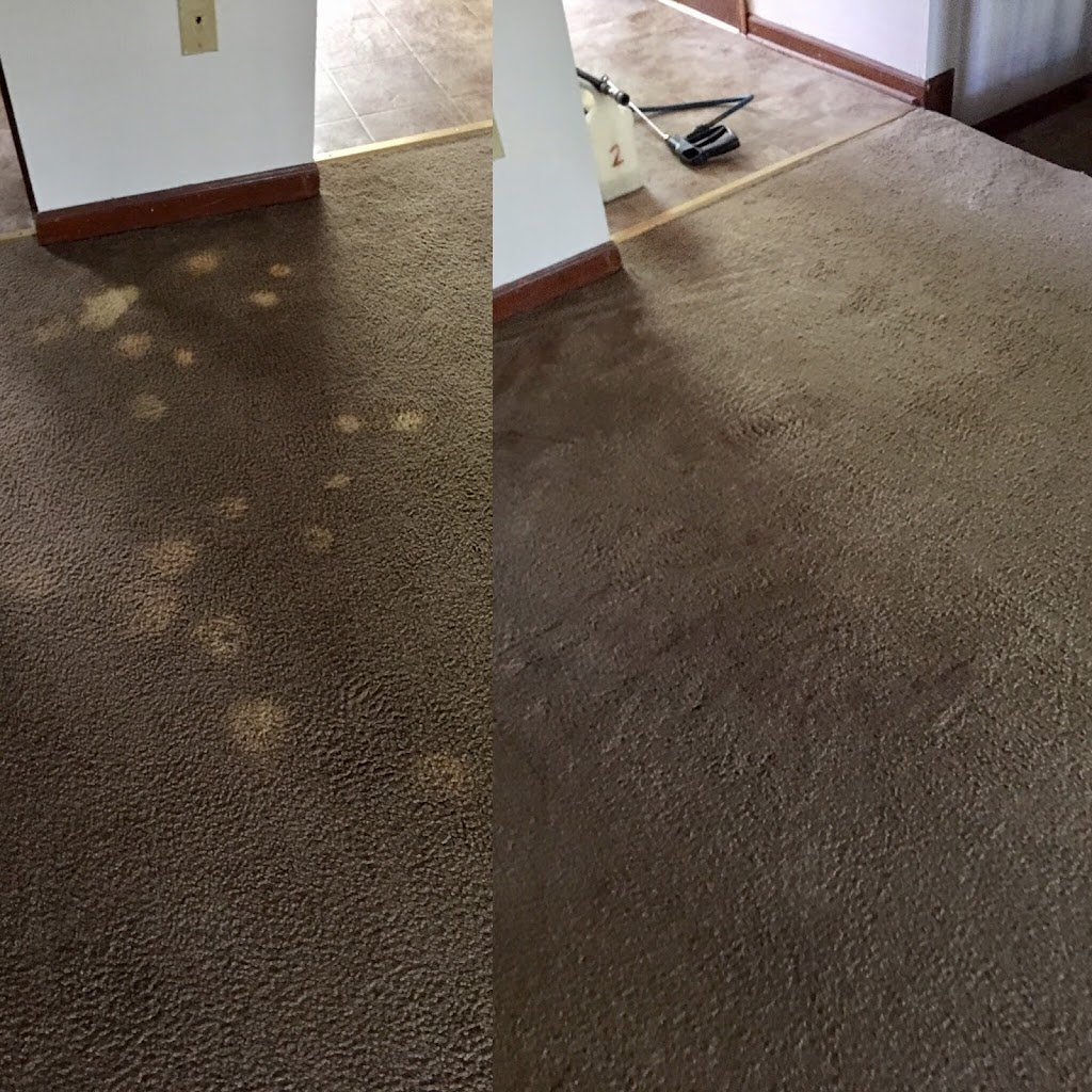 Steam Master Carpet Cleaning, Water and Fire | 1423 Richel Dr, Port Orange, FL 32129, USA | Phone: (386) 233-3067