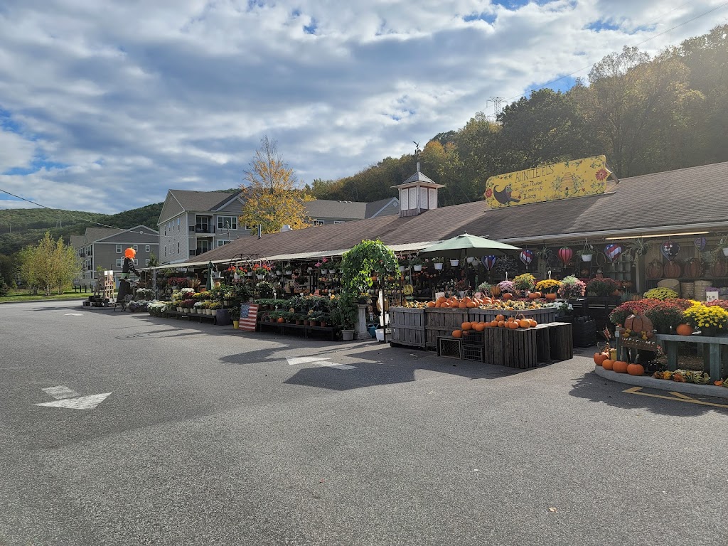 Auntie Els Farm Market | 171 NY-17, Sloatsburg, NY 10974, USA | Phone: (845) 753-2122