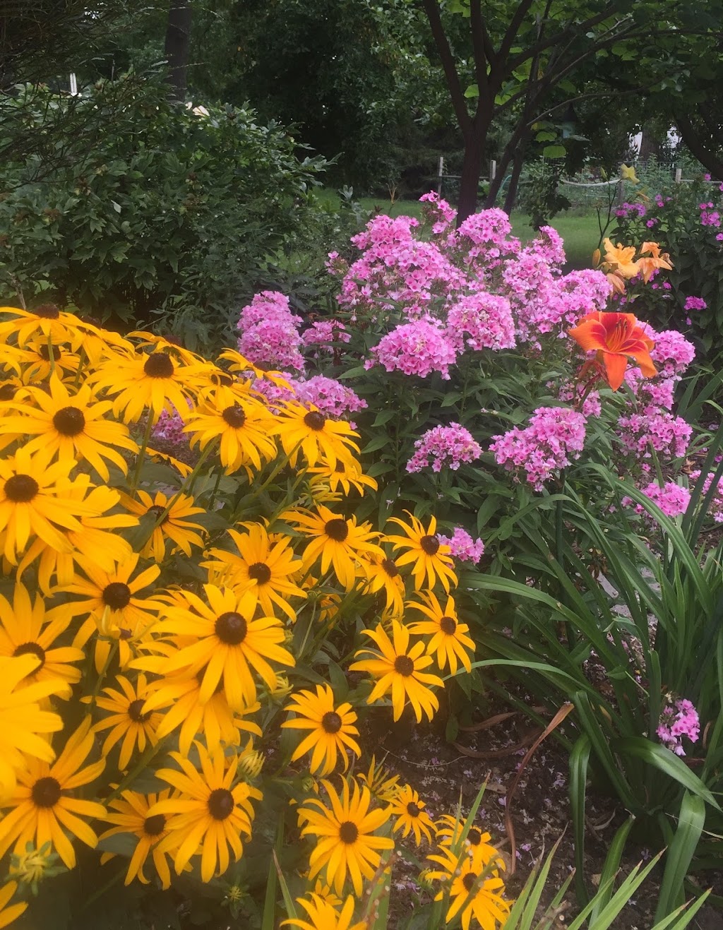 Gardening Adventures - Perennials - Madison Area | 161 Paoli St, Verona, WI 53593 | Phone: (608) 513-9034