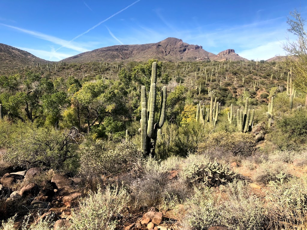 Jewel of the Creek Preserve | Cave Creek, AZ 85331, USA | Phone: (480) 488-6131