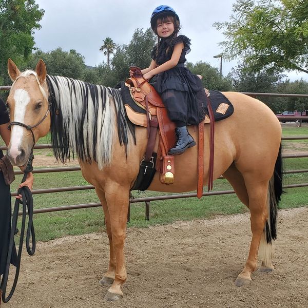 Holleys Horseback Rides for Parties | 918 Iron Horse Dr, San Marcos, CA 92078, USA | Phone: (808) 953-4883